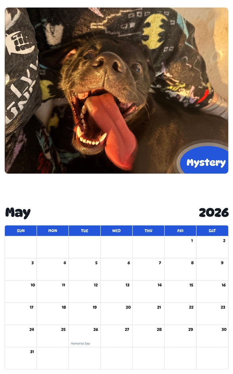 2026 - 2027 Mystery - Pawidols Pet Calendar