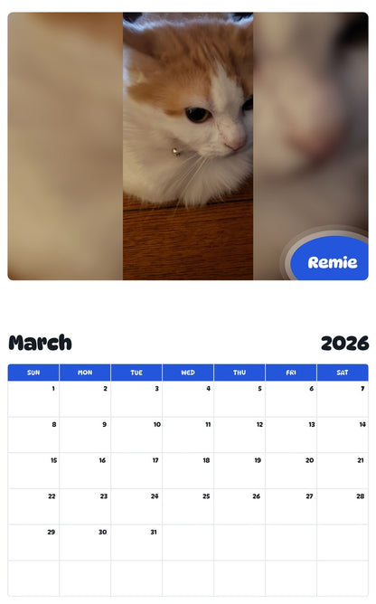 November 2025 - October 2026 Remie - Pawidols Pet Calendar