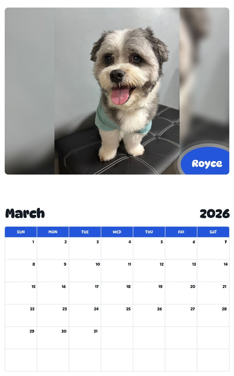 November 2025 - October 2026 Royce - Pawidols Pet Calendar