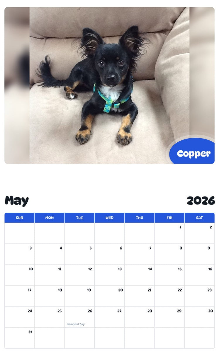 2026 - 2027 Copper - Pawidols Pet Calendar