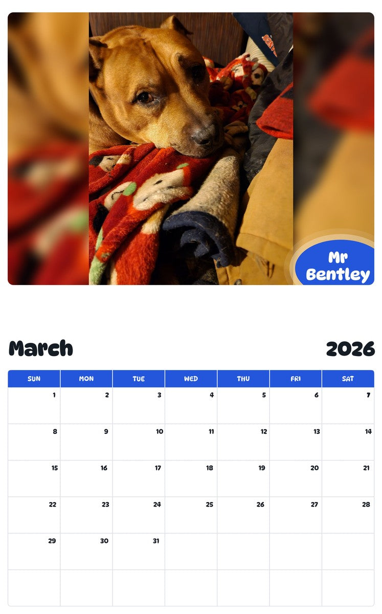 November 2025 - October 2026 Mr Bentley - Pawidols Pet Calendar