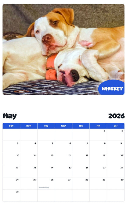 2026 - 2027 WHISKEY - Pawidols Pet Calendar