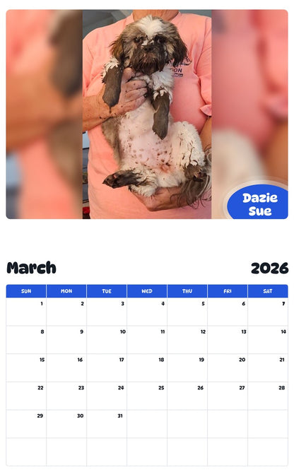 November 2025 - October 2026 Dazie Sue - Pawidols Pet Calendar