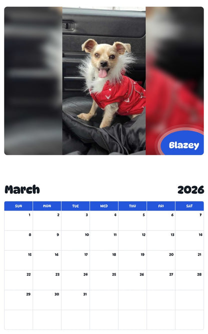 November 2025 - October 2026 Blazey - Pawidols Pet Calendar