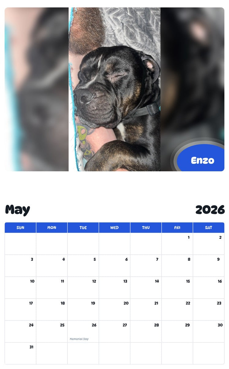 2026 - 2027 Enzo - Pawidols Pet Calendar