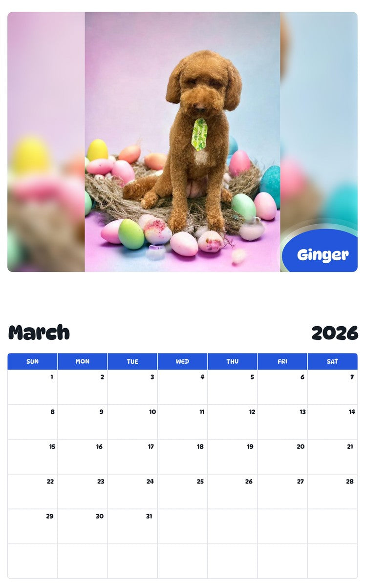 November 2025 - October 2026 Ginger - Pawidols Pet Calendar