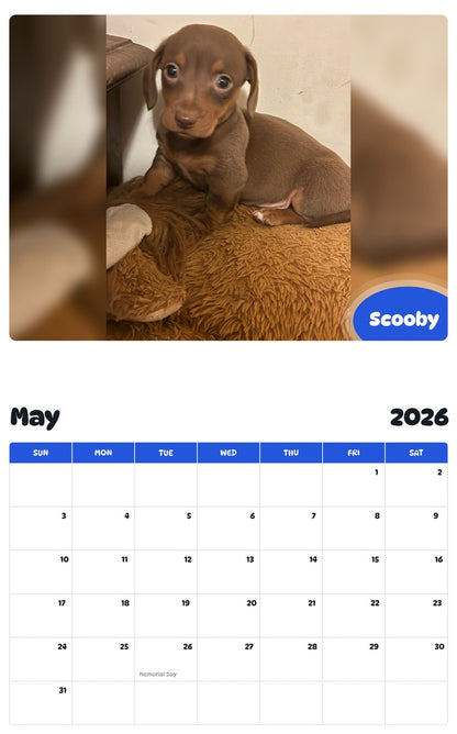 2026 - 2027 Scooby - Pawidols Pet Calendar