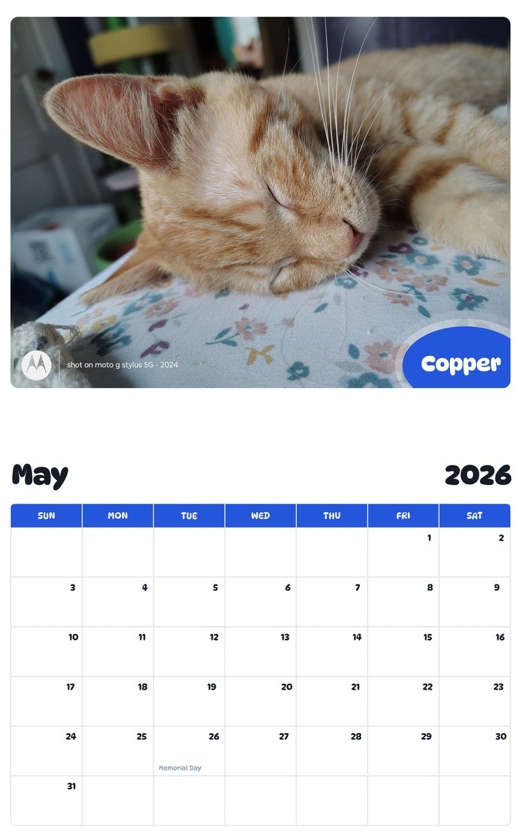 2026 - 2027 Copper - Pawidols Pet Calendar