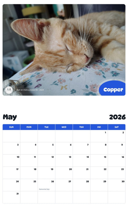 2026 - 2027 Copper - Pawidols Pet Calendar