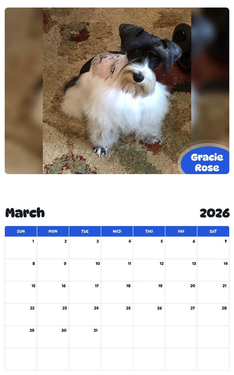 November 2025 - October 2026 Gracie Rose - Pawidols Pet Calendar