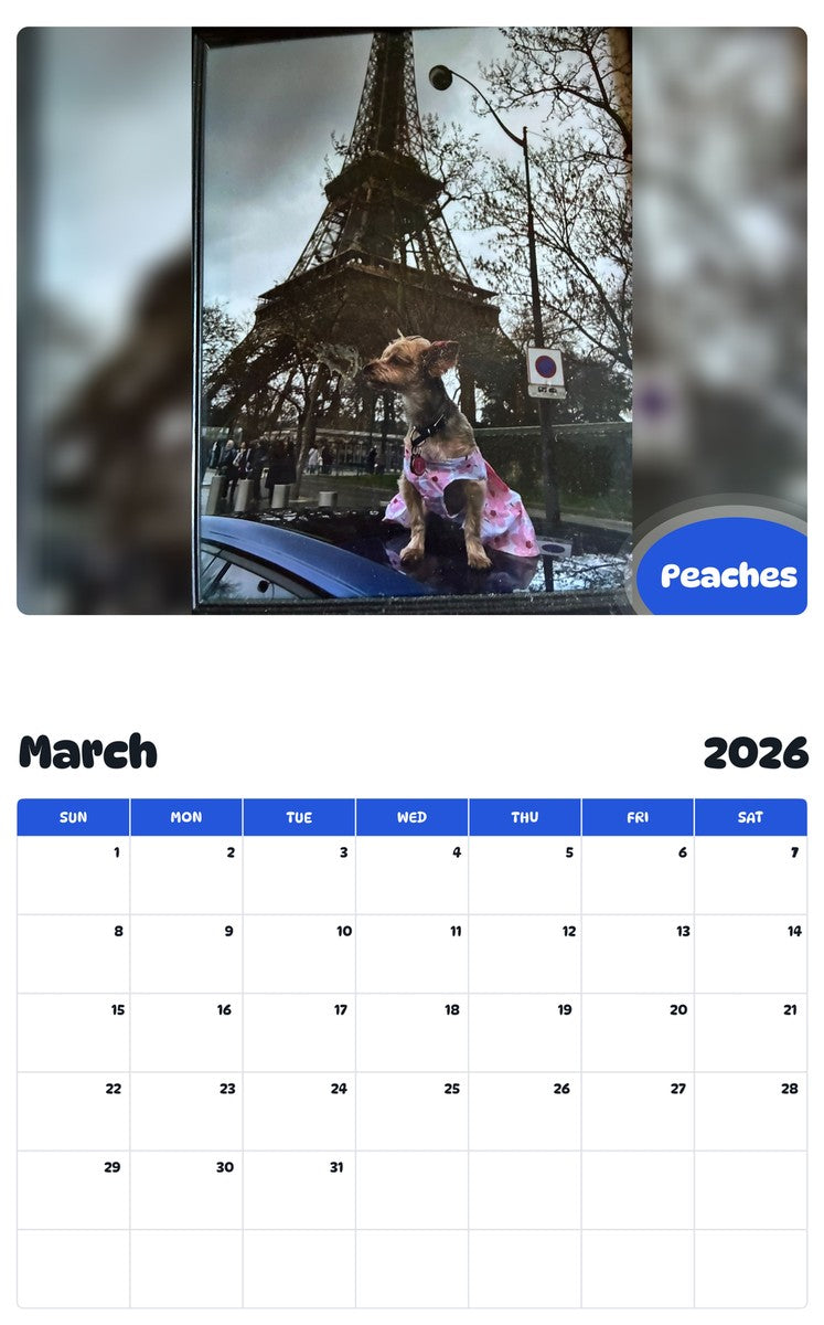 November 2025 - October 2026 Peaches - Pawidols Pet Calendar