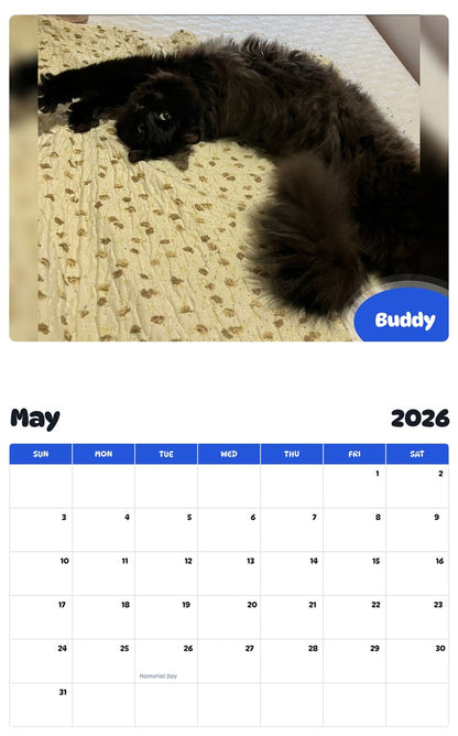 2026 - 2027 Buddy - Pawidols Pet Calendar