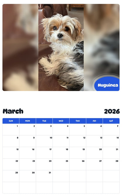 November 2025 - October 2026 Nuguinea - Pawidols Pet Calendar