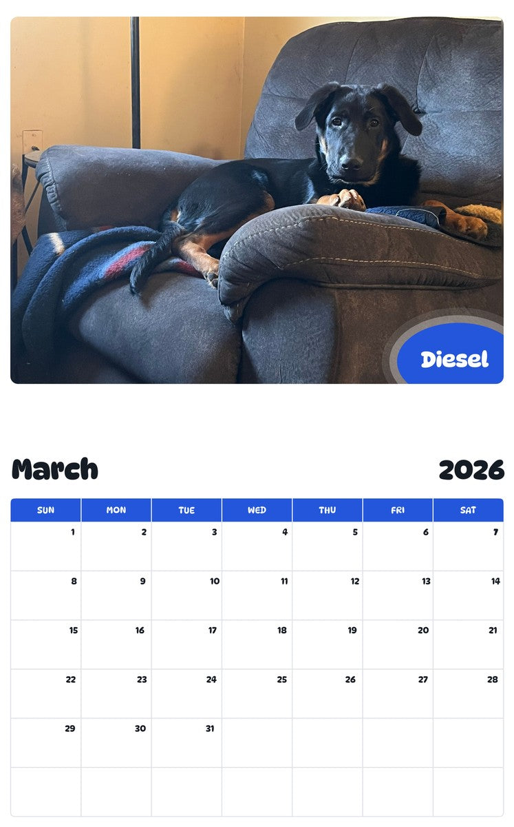 November 2025 - October 2026 Diesel - Pawidols Pet Calendar