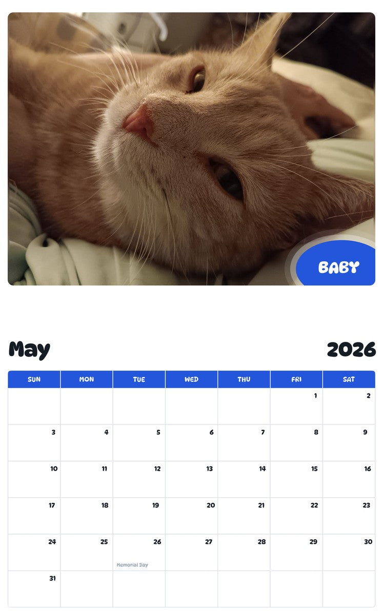 2026 - 2027 BABY - Pawidols Pet Calendar