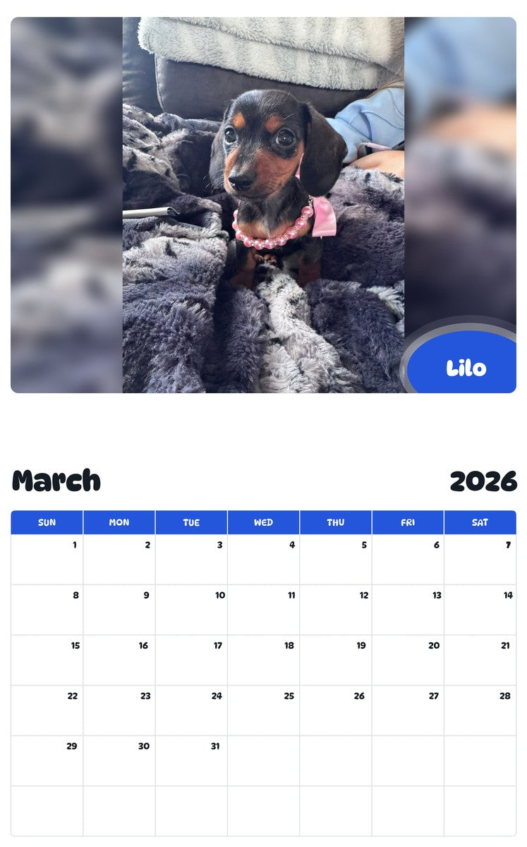 November 2025 - October 2026 Lilo - Pawidols Pet Calendar