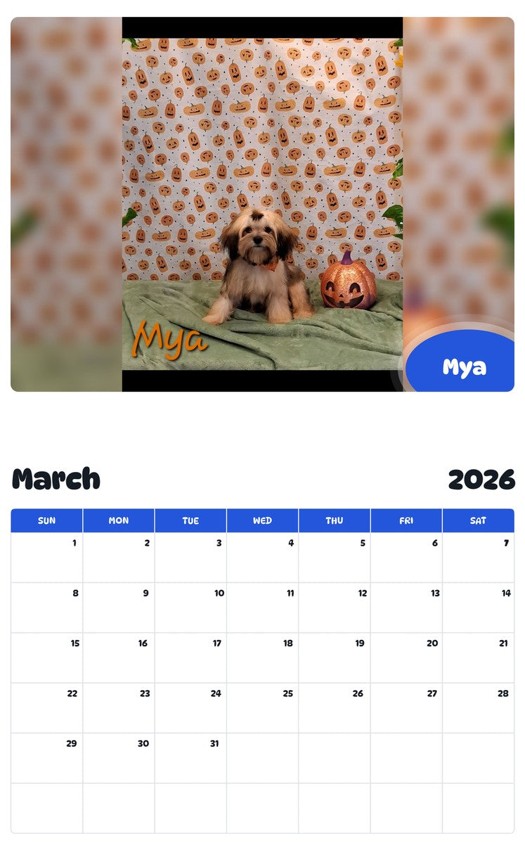 November 2025 - October 2026 Mya - Pawidols Pet Calendar