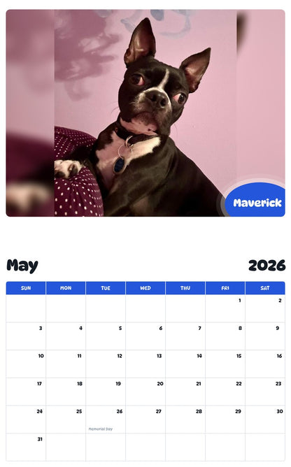 2026 - 2027 Maverick - Pawidols Pet Calendar