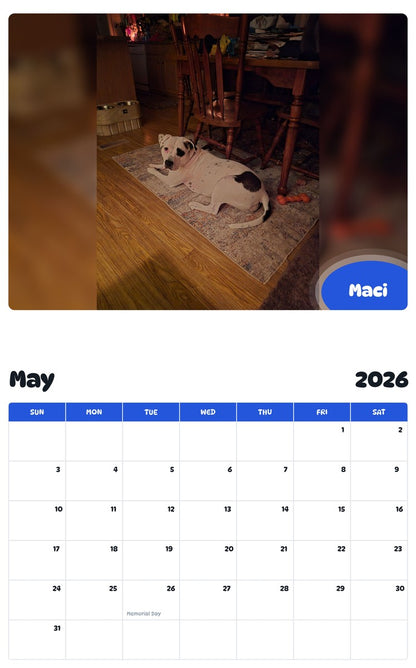2026 - 2027 Maci - Pawidols Pet Calendar