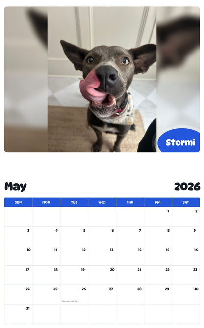 2026 - 2027 Stormi - Pawidols Pet Calendar