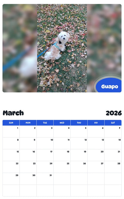 November 2025 - October 2026 Guapo - Pawidols Pet Calendar