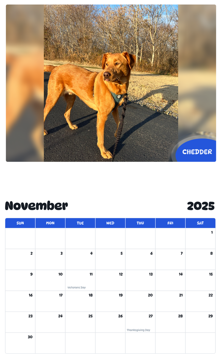July 2025 - June 2026 Chedder - Pawidols Pet Calendar