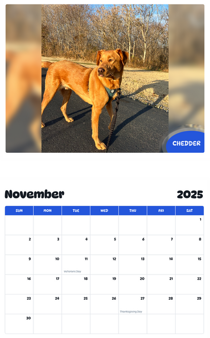 July 2025 - June 2026 Chedder - Pawidols Pet Calendar