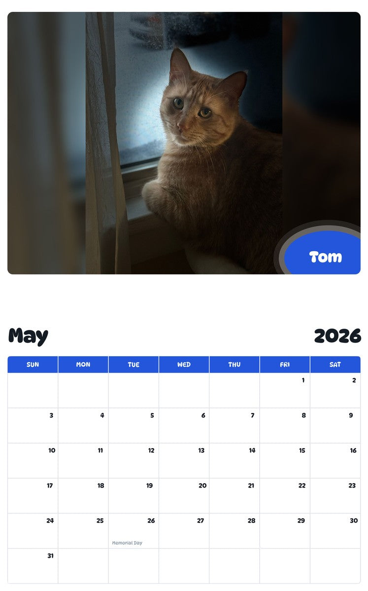 2026 - 2027 Tom - Pawidols Pet Calendar