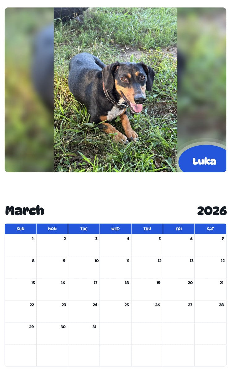 November 2025 - October 2026 Luka - Pawidols Pet Calendar