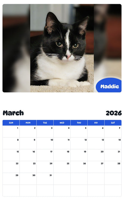 November 2025 - October 2026 Maddie - Pawidols Pet Calendar