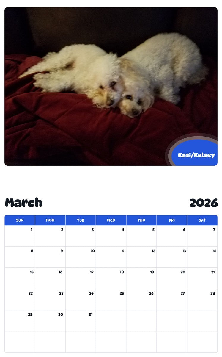 November 2025 - October 2026 Kasi/Kelsey - Pawidols Pet Calendar