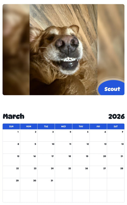 November 2025 - October 2026 Scout - Pawidols Pet Calendar