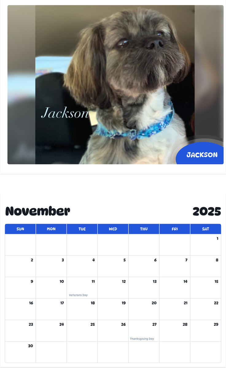 July 2025 - June 2026 Jackson - Pawidols Pet Calendar