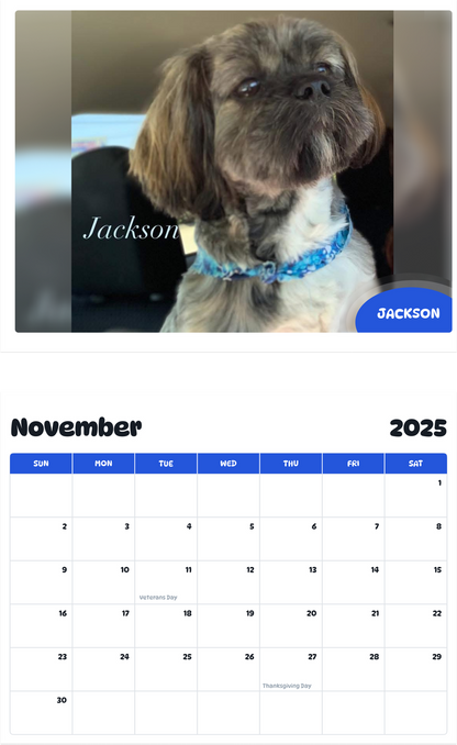 July 2025 - June 2026 Jackson - Pawidols Pet Calendar