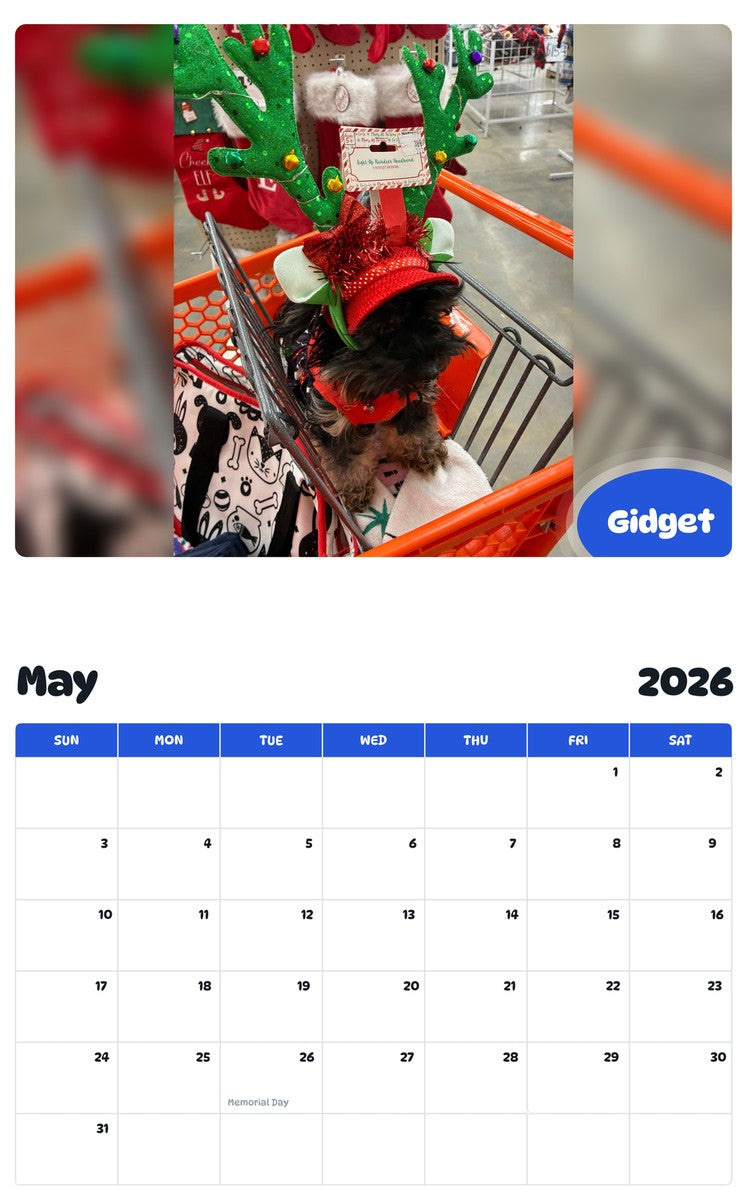 2026 - 2027 Gidget - Pawidols Pet Calendar