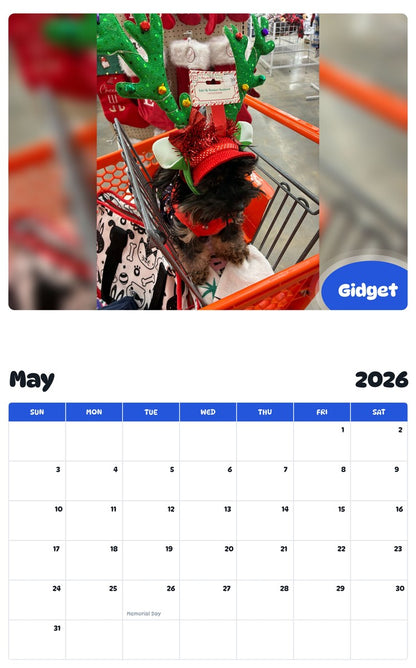 2026 - 2027 Gidget - Pawidols Pet Calendar