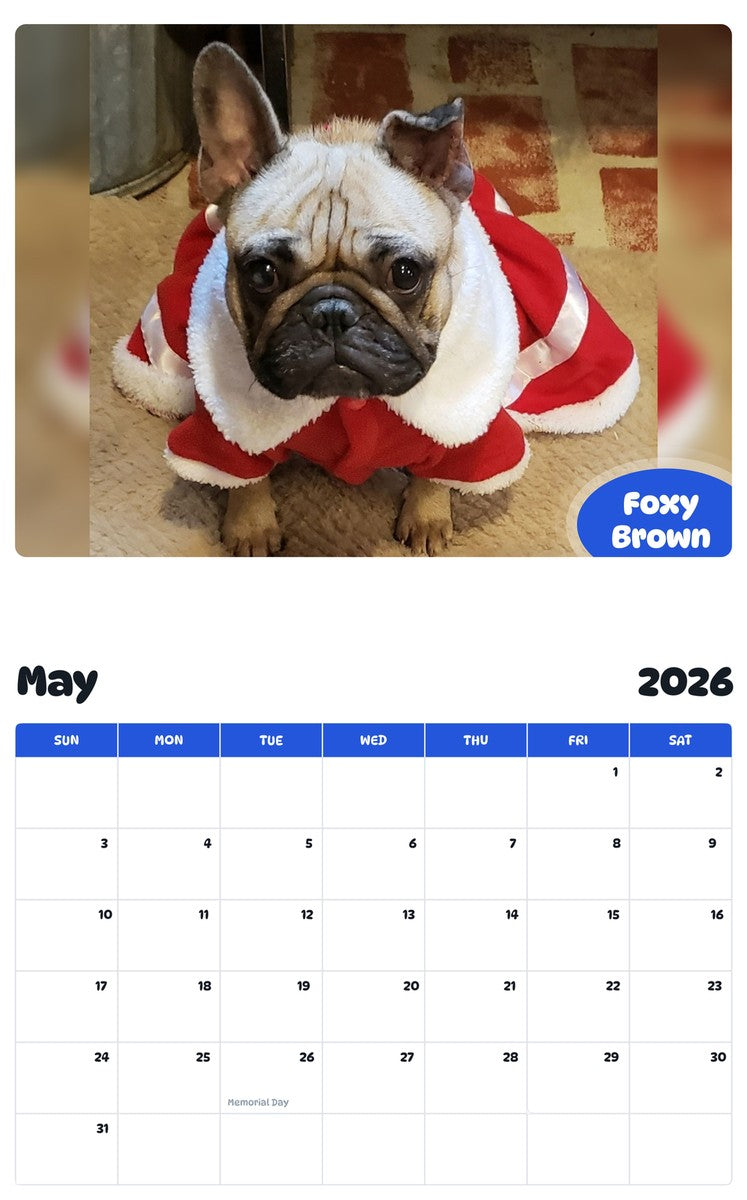2026 - 2027 Foxy Brown - Pawidols Pet Calendar
