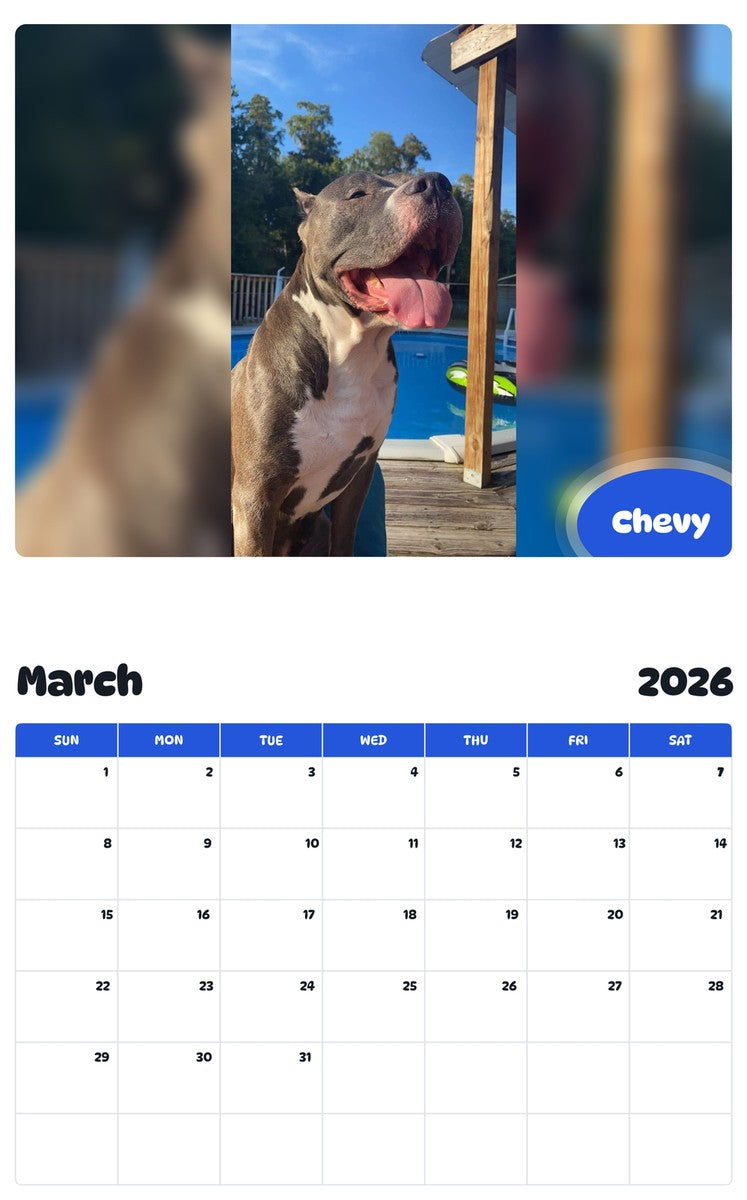 November 2025 - October 2026 Chevy - Pawidols Pet Calendar