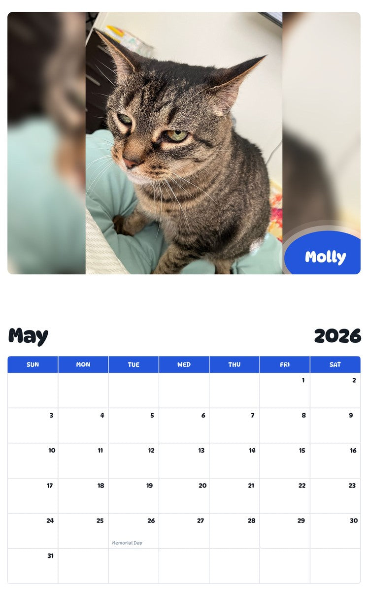 2026 - 2027 Molly - Pawidols Pet Calendar