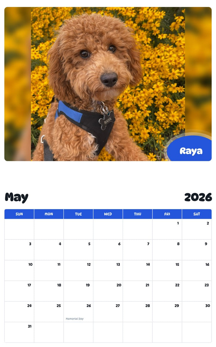 2026 - 2027 Raya - Pawidols Pet Calendar