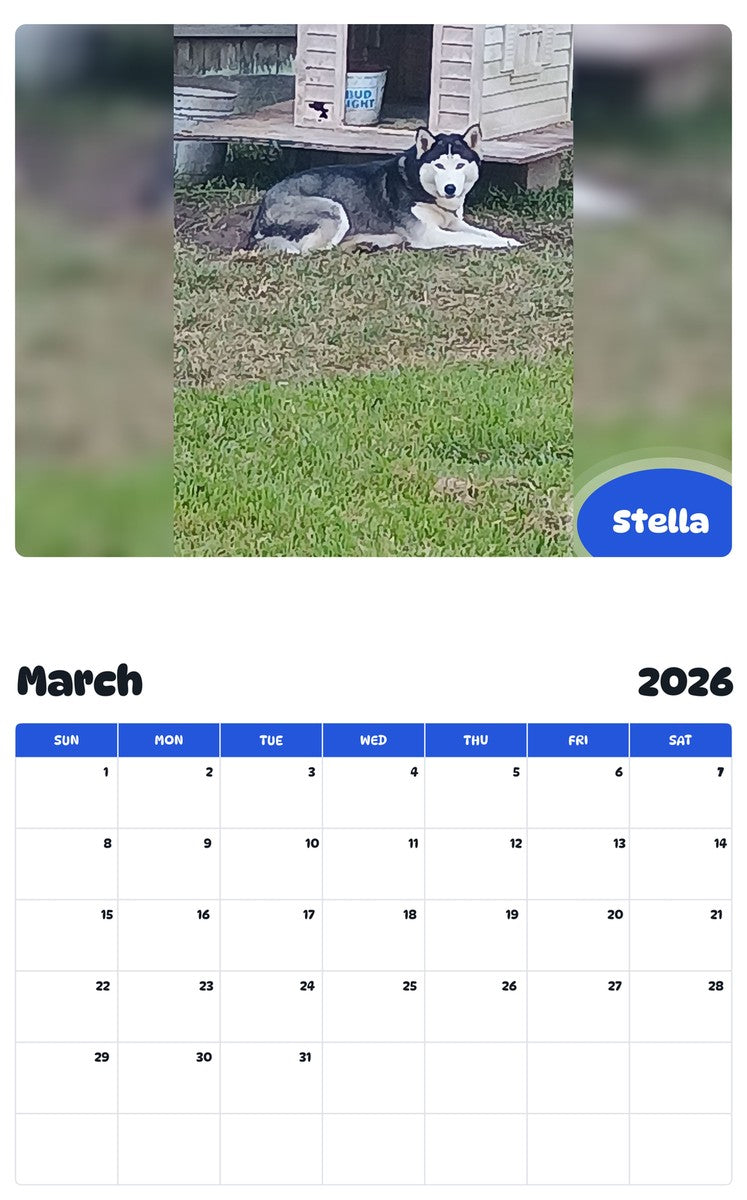 November 2025 - October 2026 Stella - Pawidols Pet Calendar