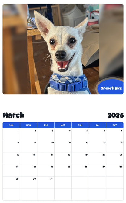 November 2025 - October 2026 Snowflake - Pawidols Pet Calendar