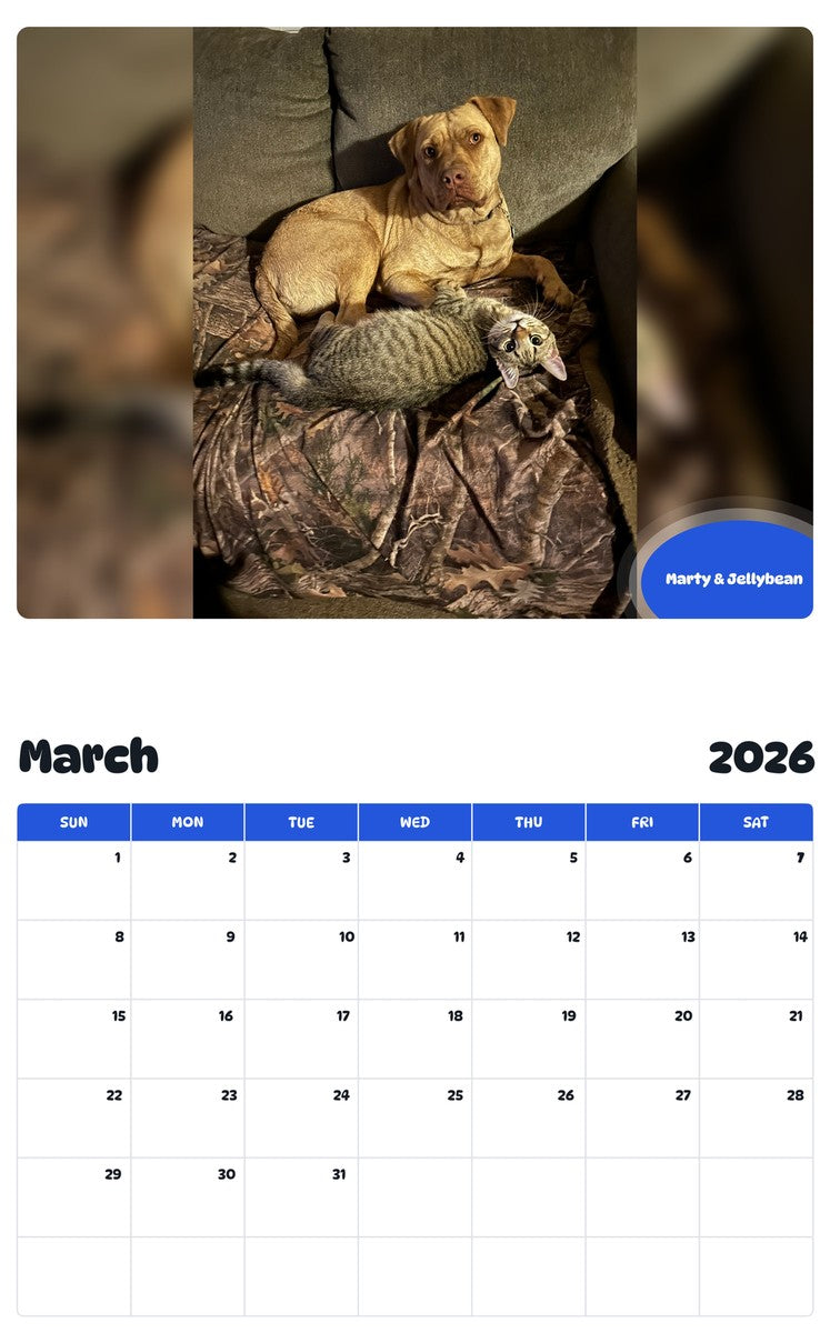 November 2025 - October 2026 Marty & Jellybean - Pawidols Pet Calendar
