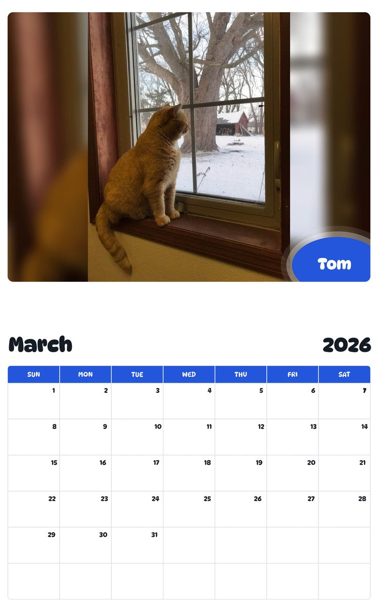 November 2025 - October 2026 Tom - Pawidols Pet Calendar