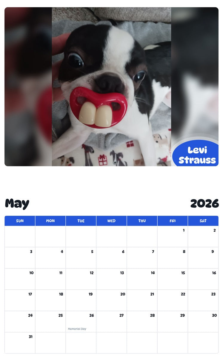 2026 - 2027 Levi Strauss - Pawidols Pet Calendar