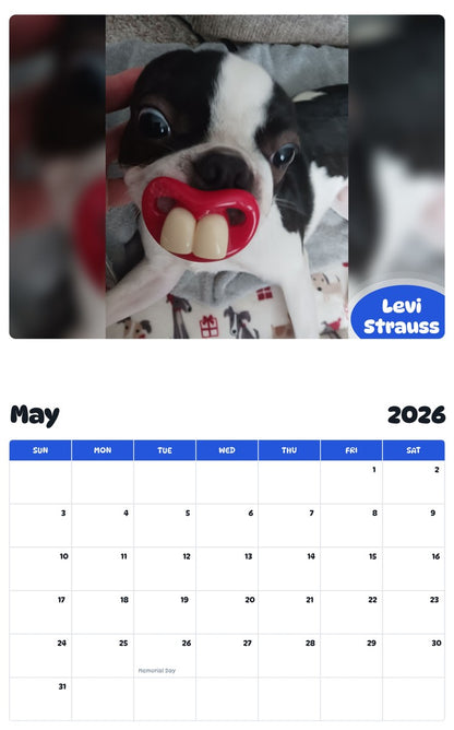 2026 - 2027 Levi Strauss - Pawidols Pet Calendar