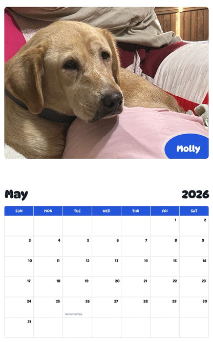 2026 - 2027 Molly - Pawidols Pet Calendar