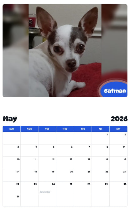 2026 - 2027 Batman - Pawidols Pet Calendar