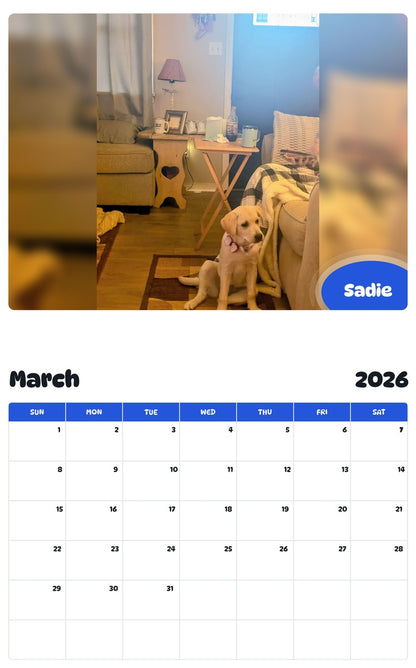 November 2025 - October 2026 Sadie - Pawidols Pet Calendar