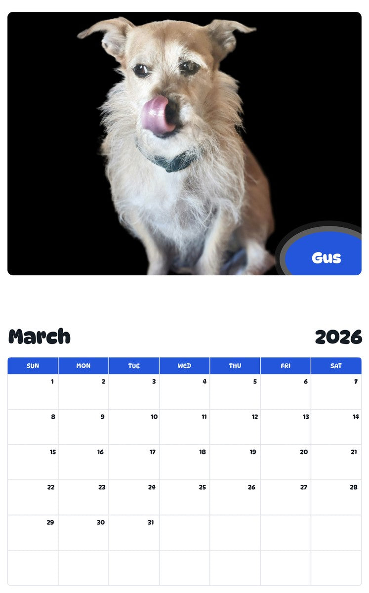 November 2025 - October 2026 Gus - Pawidols Pet Calendar